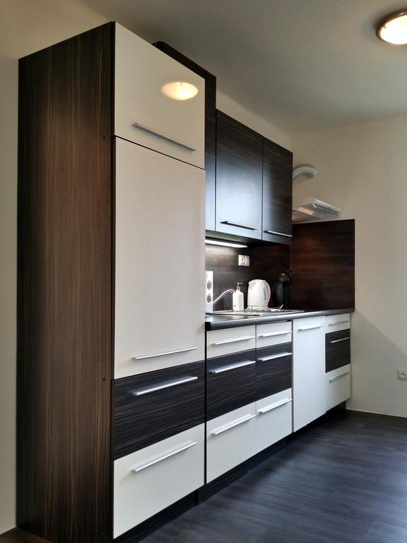 Apartman U Labe Nymburk Room photo