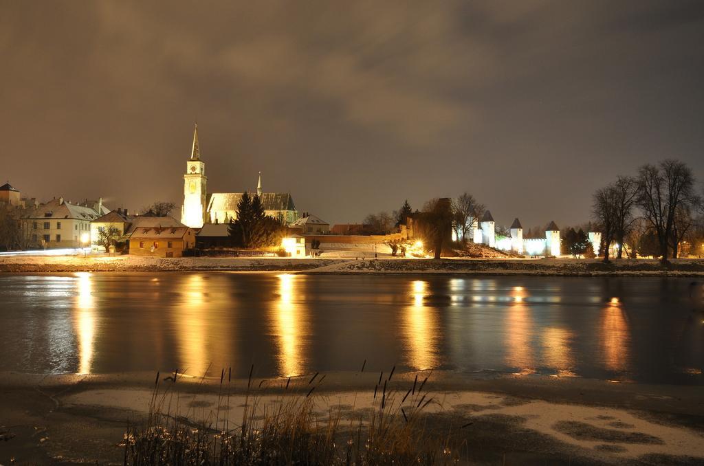 Apartman U Labe Nymburk Room photo